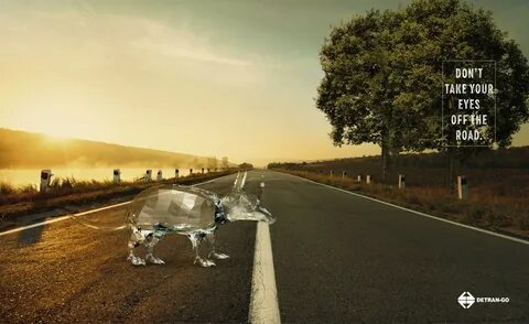 Off the road