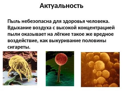 Опасность пыли