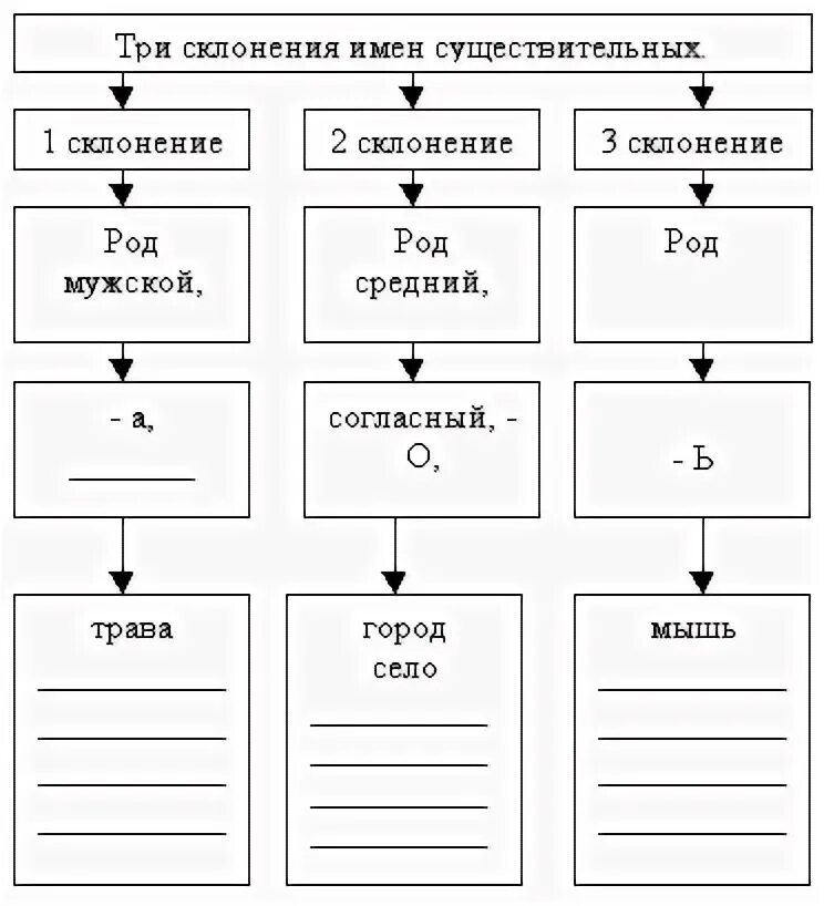 Три склонения имён существительных.