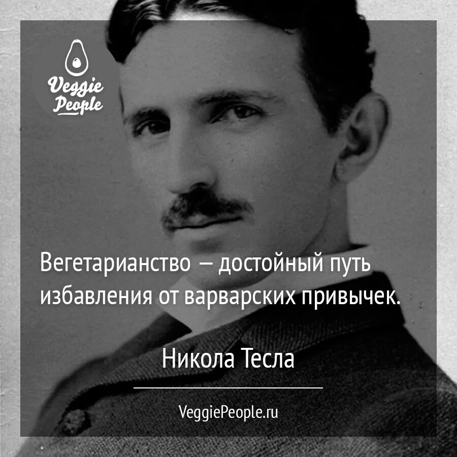 Цитаты н н