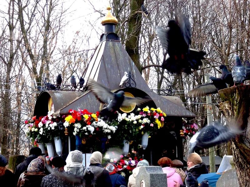 Матронушка похоронена. Даниловское кладбище Матрона Московская. Могила Матроны Московской на Даниловском кладбище. Даниловское кладбище могила Матроны. Захоронение Матроны Московской на Даниловском кладбище.