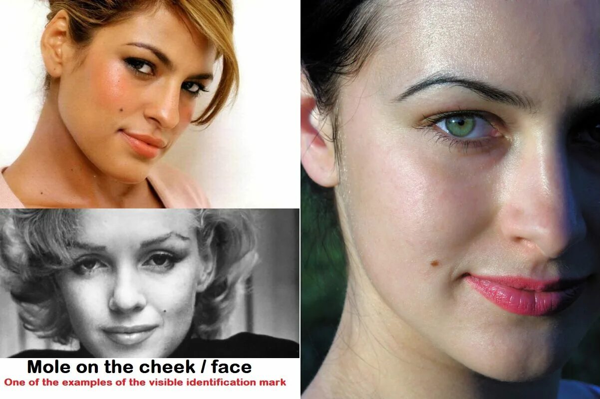 Visible identification marks что писать индия. Online indian visa form. Пример заполнения индийской визы. Marks on the cheeks. Visa form.