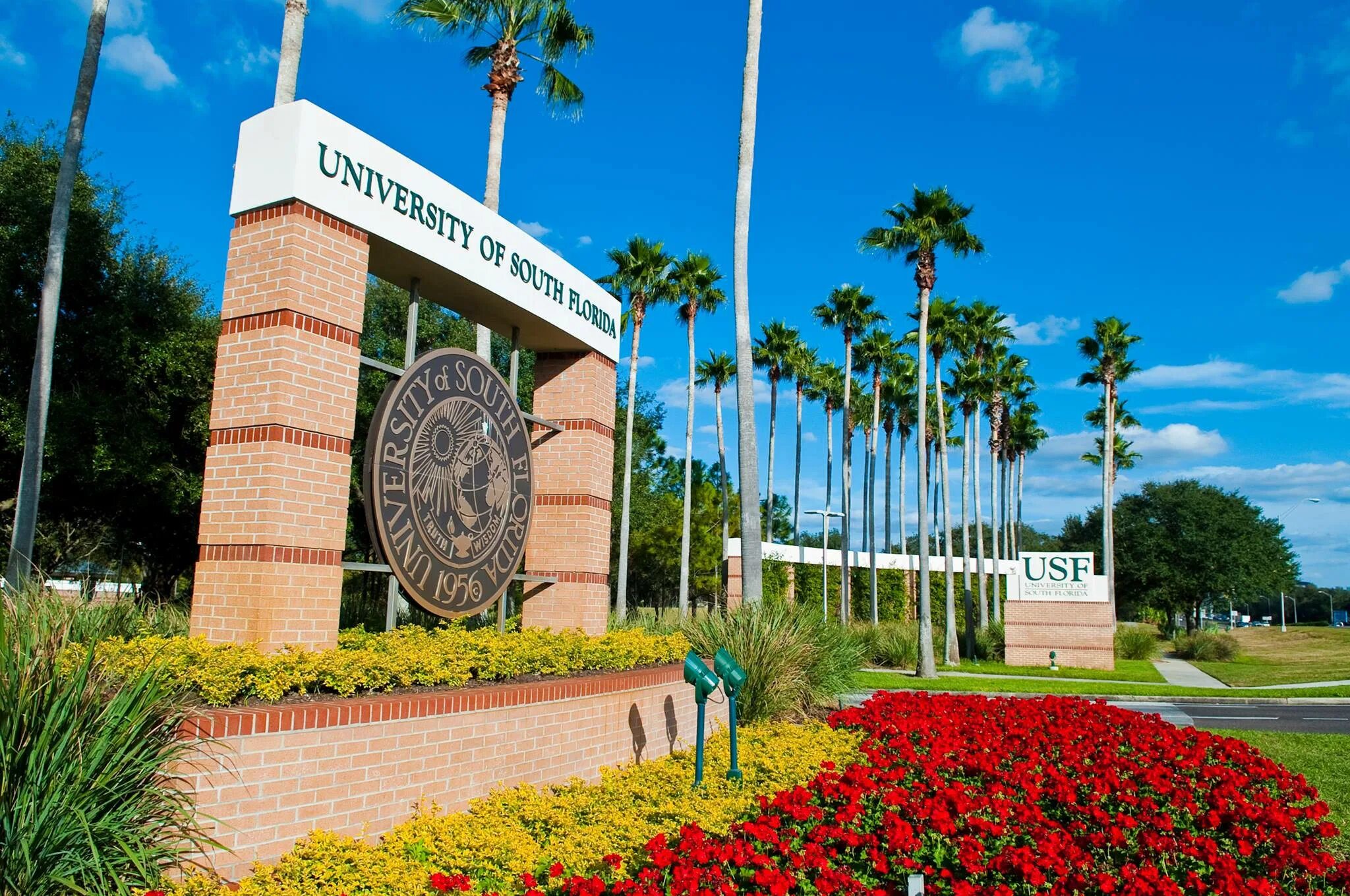 Южно-Флоридский университет. Университет into University of South Florida. University of South Florida Tampa Campuses. University of South Florida, университет University of South Florida химическая инженерия.