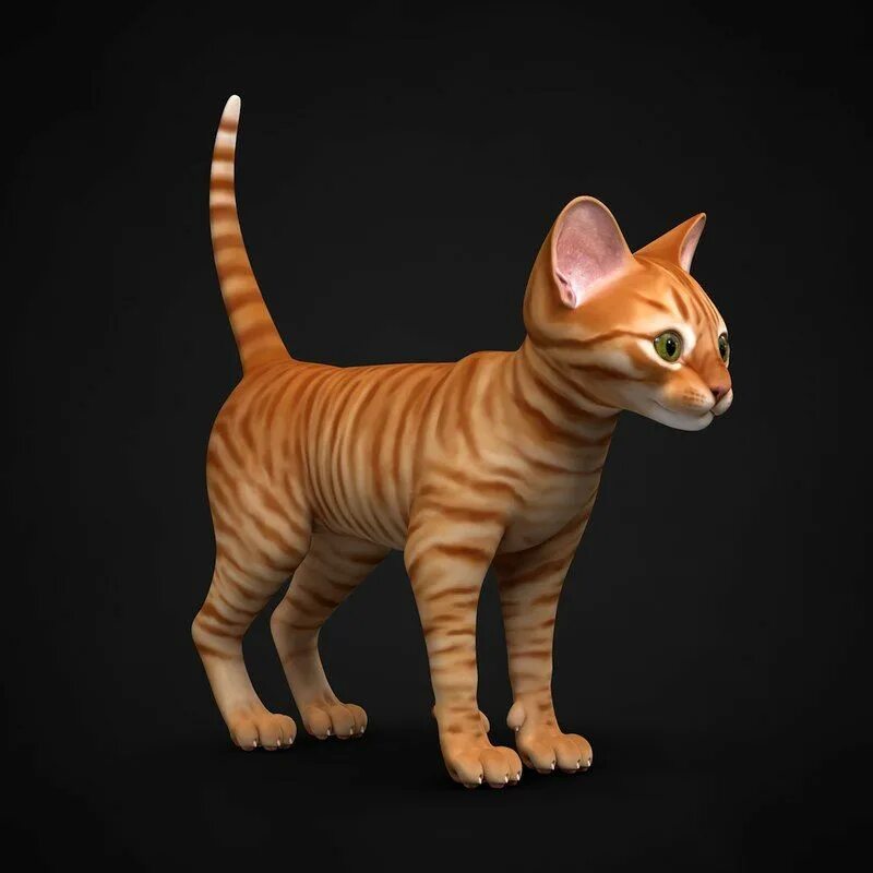 3 д кот. Кот референс 3д. кошка 3д. кошка модель. моделирование кота.