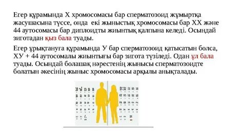 Новодвинскідегі дискотекадағы секс