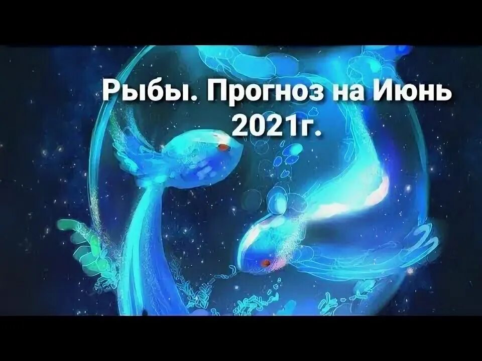 Клев рыбы. Прогноз клёва рыбы. Рыбы прогноз на день. Клев сома. Рыбацкий календарь.