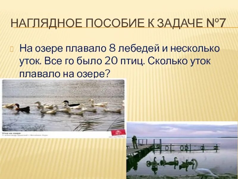 В пруду плавали несколько уток. 7 Уток на озере. Сколько уток. Несколько уток. Задача в озере плавало 7 уток.