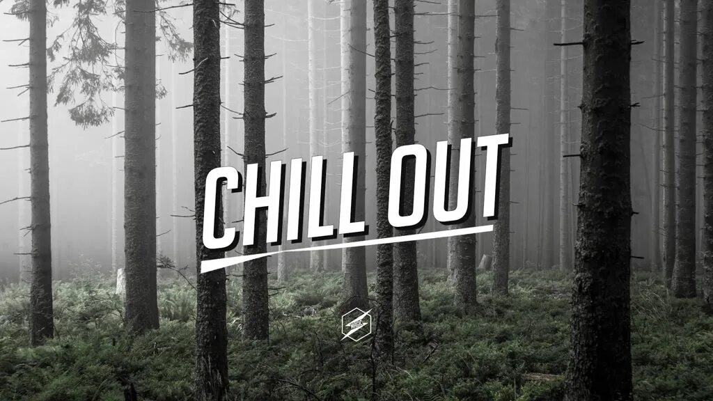 Chill out 2024