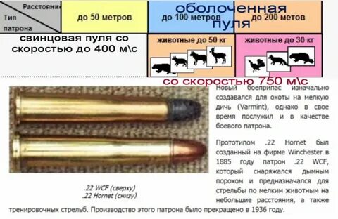 С каким калибром на кого охотиться