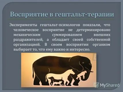 Гештальт терапия тест