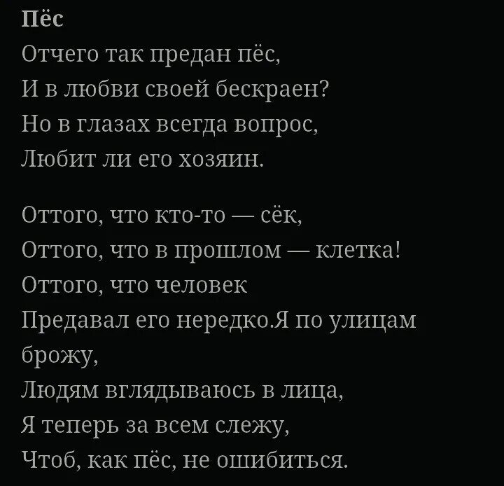 Почему так предан пес. Стихотворение про немецкую овчарку. Отчего так верен пес гафт. Стихотворение от чего так предан пес. Преданная собака.