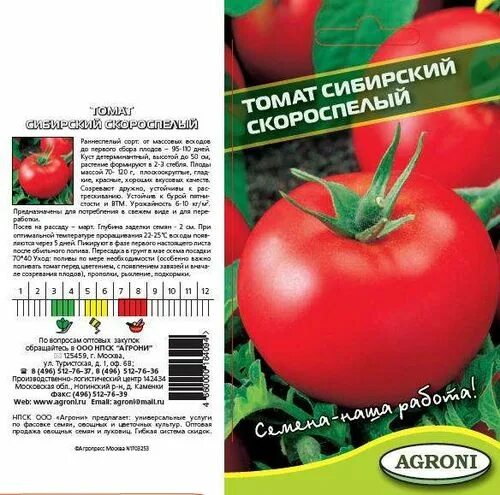 Томат волгоградский скороспелый урожайность. Помидор Сибирский скороспелый описание сорта. Томат Сибирский скороспелый агрони. Томаты Сибирский скороспелый описание сорта. Сибирский скороспелый томат описание.