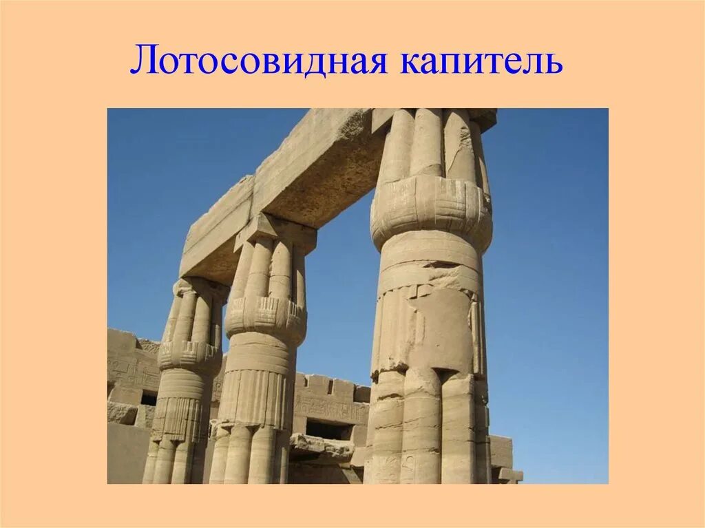 Тип египта. Пальмовидная колонна древнего египта. лотосовидные колонны древнего египта. лотосовидные капители колонны египет. папирусовидные колонны в древнем египте.