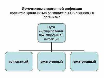 Эндогенная инфекция