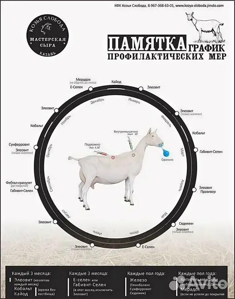Вес козы по таблице Список Коз Вне Электронного Магазина
