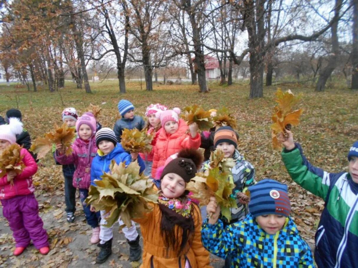 Осенняя прогулка в детском саду. Прогулка в детском саду осень. Осенняя прогулка в ДОУ. Прогулка осенью в старшей группе. Трудовая деятельность на прогулке в старшей группе