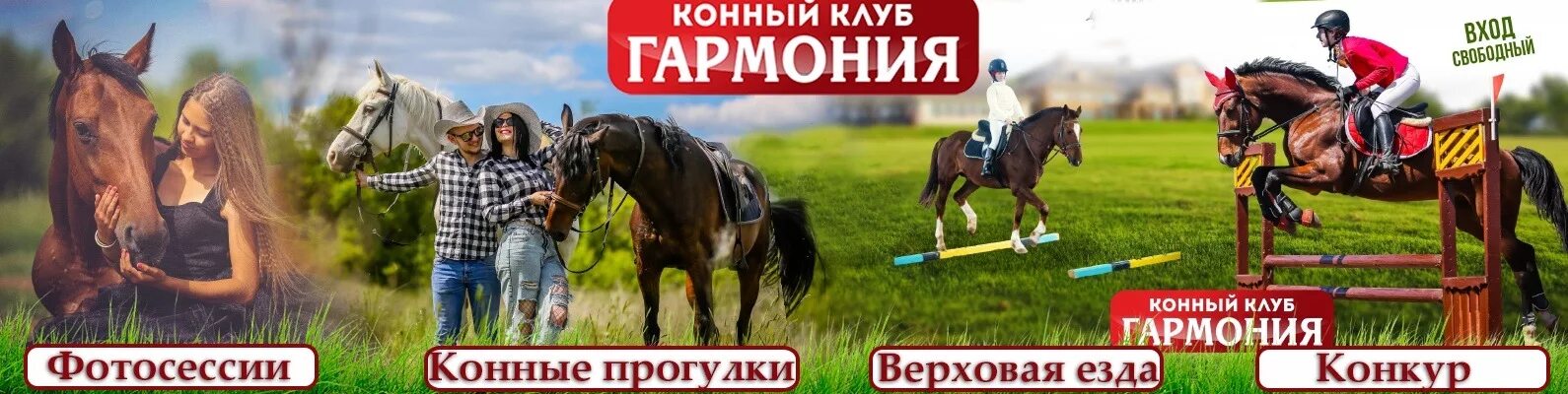 Конный клуб Гармония. Конный клуб Гармония Оренбург. Конный спорт Оренбург Гармония. Конный клуб Оренбург. Кск гармония