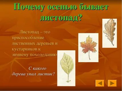 Осенний листопад какой фактор