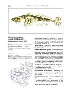 Красная книга самарской