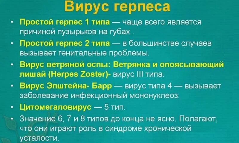 Герпес 1 и 2 типа фото
