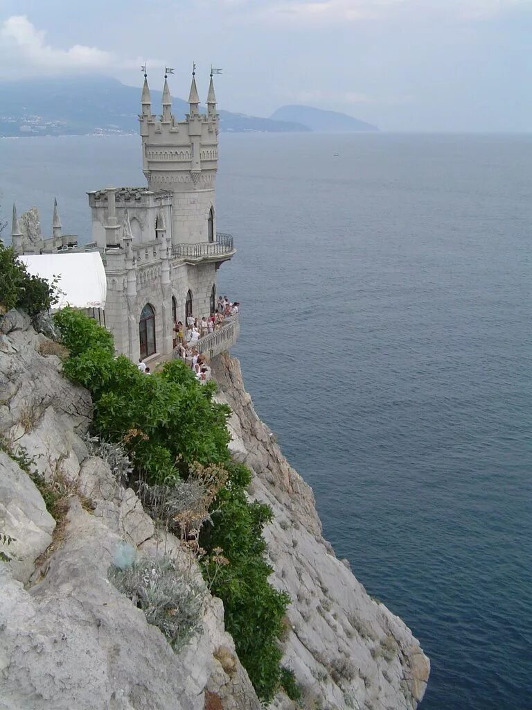 Swallows nest