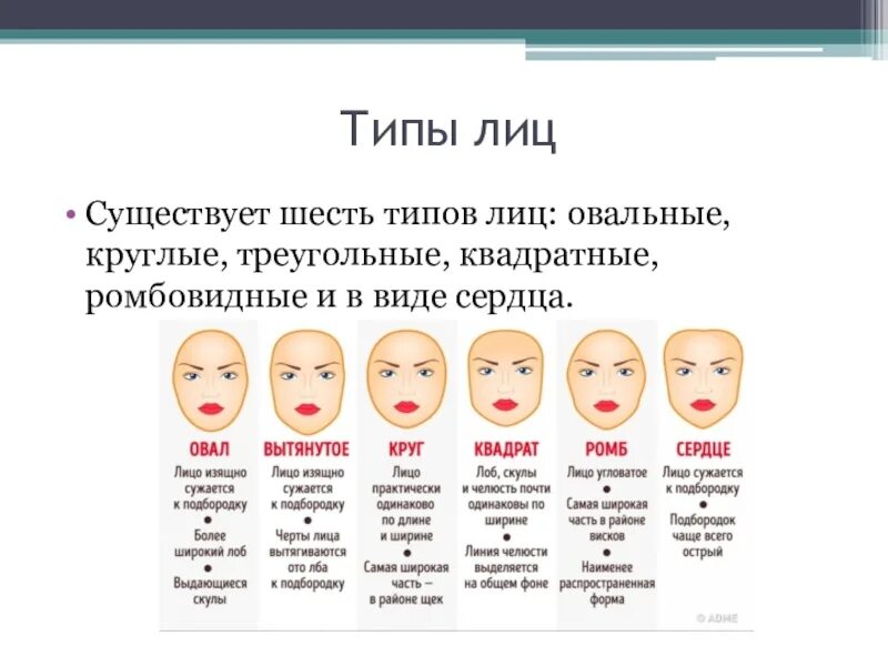 Есть тип. Типы лица. типы формы лица. типы лица и их характеристика. типы лица формы лица и их характеристика.