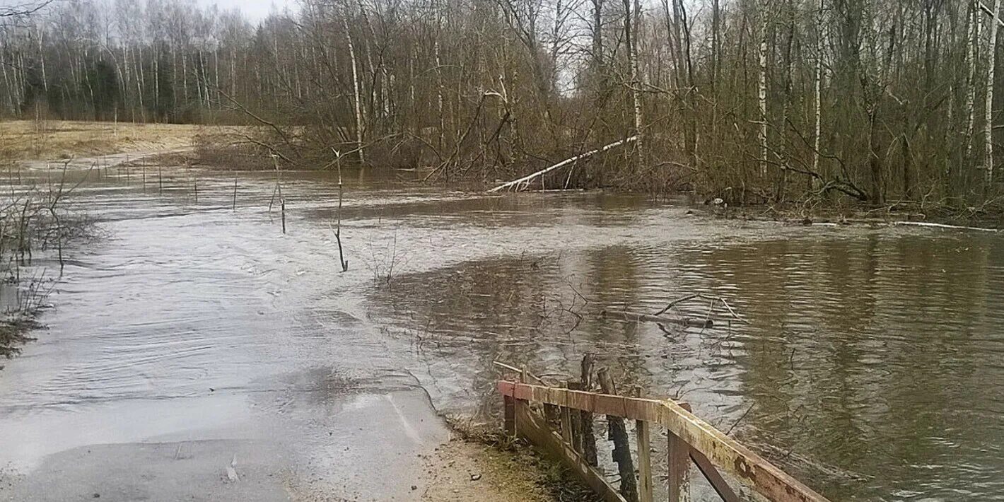 Половодье в Можайском районе. Заречье Можайский район паводок. Потоп в Можайском районе. Паводок в Можайске. Паводок в подмосковье 2024 когда ожидается