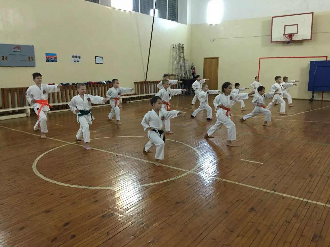 Тренировка секции. Советские секции каратэ. Секции для мальчиков в Джанкое. Спортивные девушки каратистки. Секции для мальчиков Кызыл.