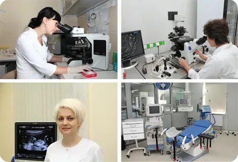 Институт репродукции