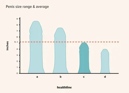 penises of varying size charted on a graph. 