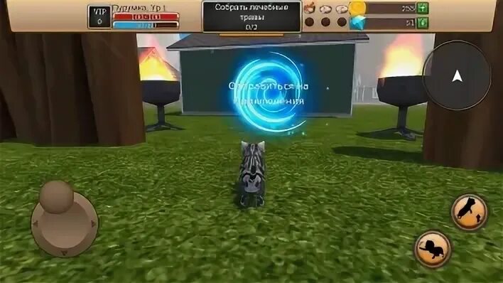 Мод жизнь кота. Взломанный симулятор кота. симулятор животных взлом. cat simulator взлом. cat simulator мод много денег.