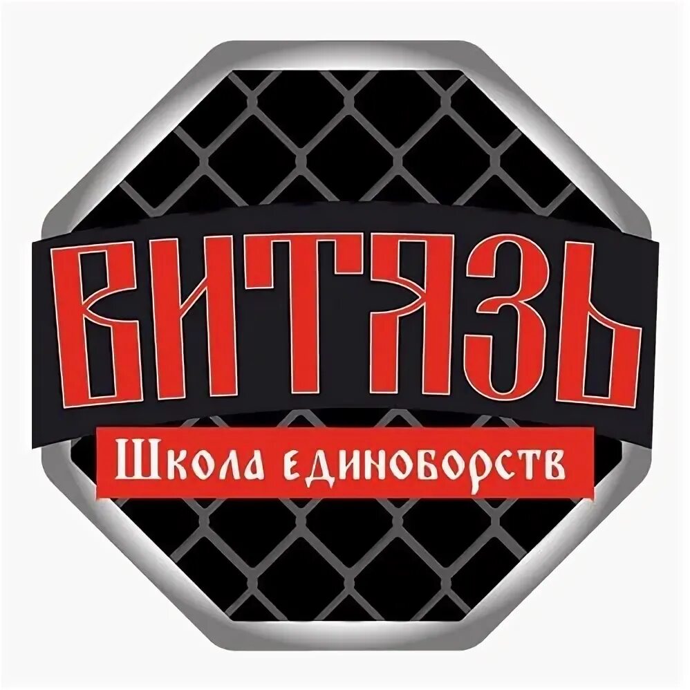 Академия футбола. Турнир по волейболу для школьников. Школа витязь. Лицей 55 пенза. Школа витязь.