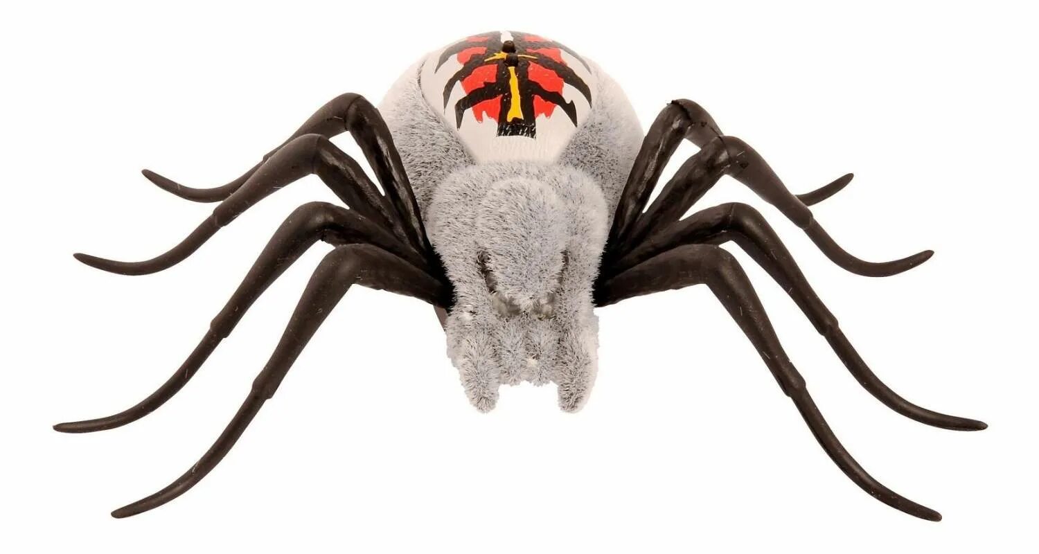 Moose Wild Pets паук. Интерактивная игрушка робот Moose Wild Pets Spider паук 29001. Moose Toys пауки. Интерактивный паук Jellies. Good wild pets