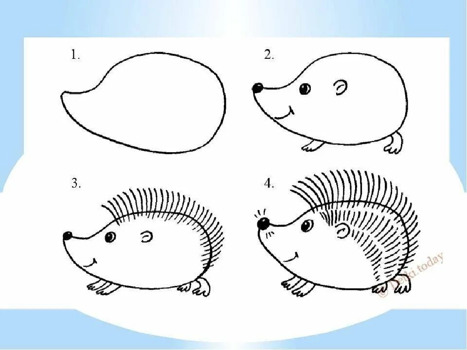 Ежи поэтапно. Рисование животных для детей. Рисование ежика в старшей группе. Рисование Ёжика в средней группе. Схемы поэтапного рисования для старшей группы.