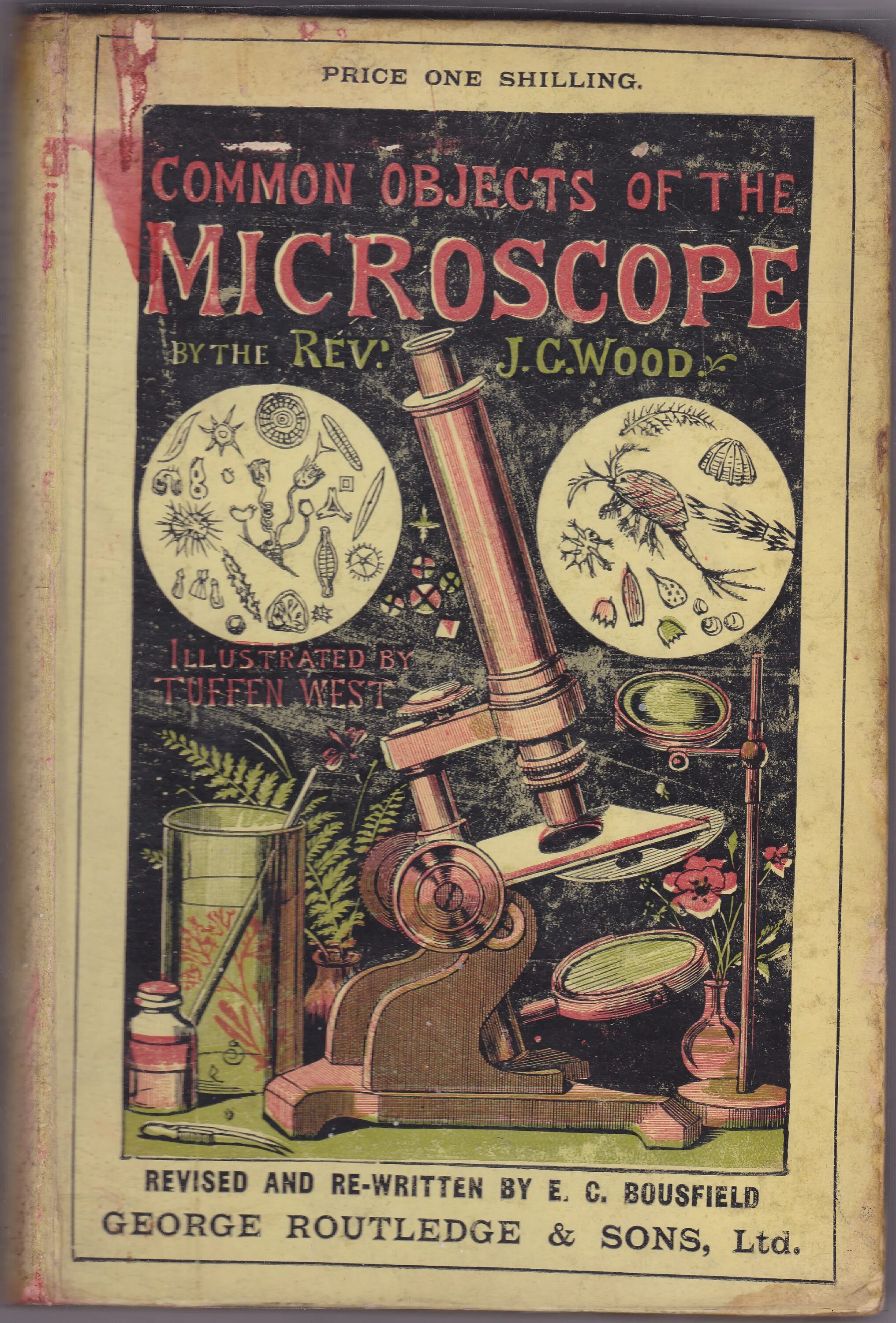 Зрительная память вектор. Common objects. Ev nesneleri odalarda картинки. Овальная емкость. Small objects vocabulary.