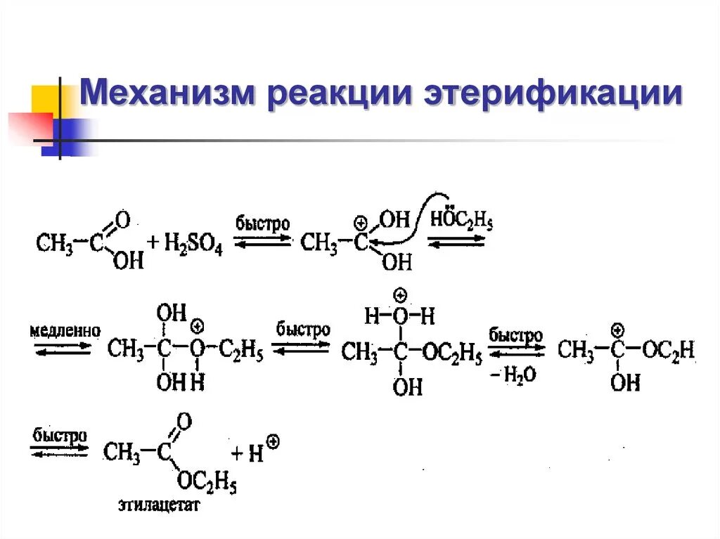 Синтез этилацетата. Механизм этерификации карбоновых кислот. Механизм реакции этерификации карбоновых кислот. Механизм реакции этерификации. Механизм протекания этерификации.