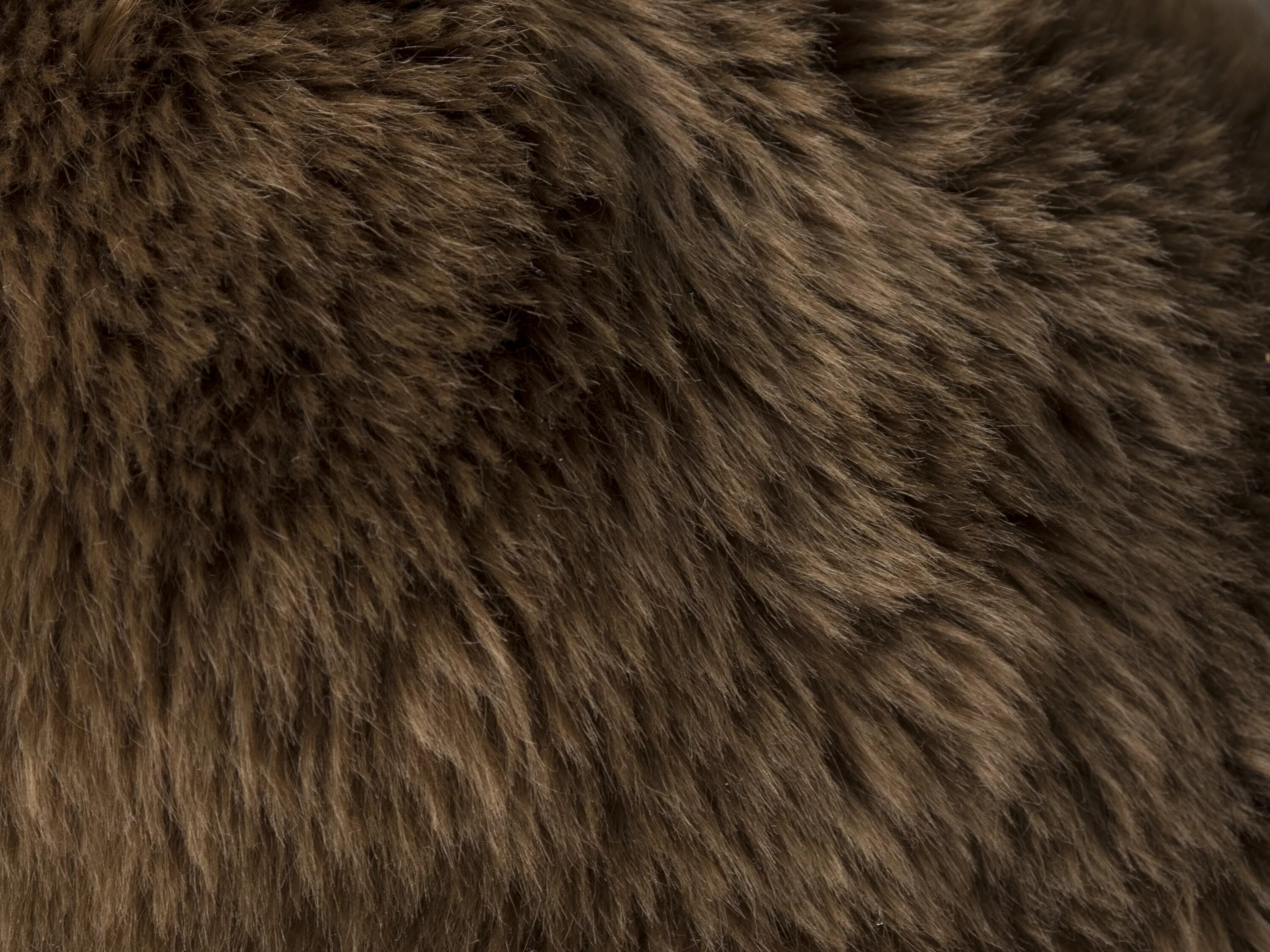 мех бурого медведя. коричневая шерсть. окраска меха бурого медведя. шерсть медведя. медвежья шерсть.