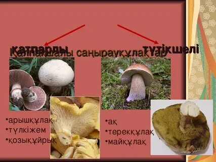 Махаббат пен секс туралы көркем фильмдер