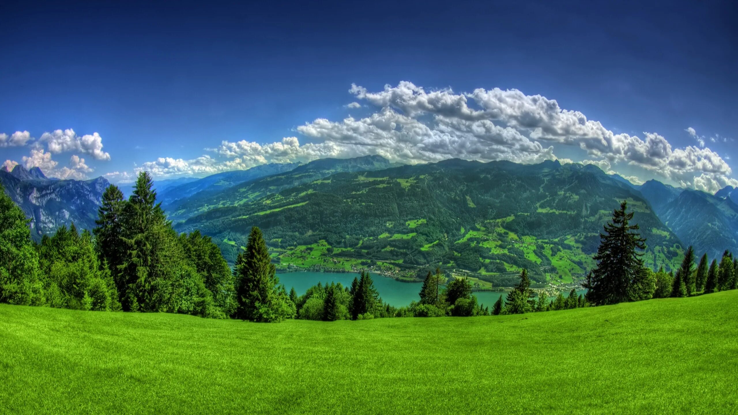 Альпийские Луга Швейцария. Зеленые Луга Швейцарии. Швейцария манзаралари. Красивый пейзаж. Очень много обой