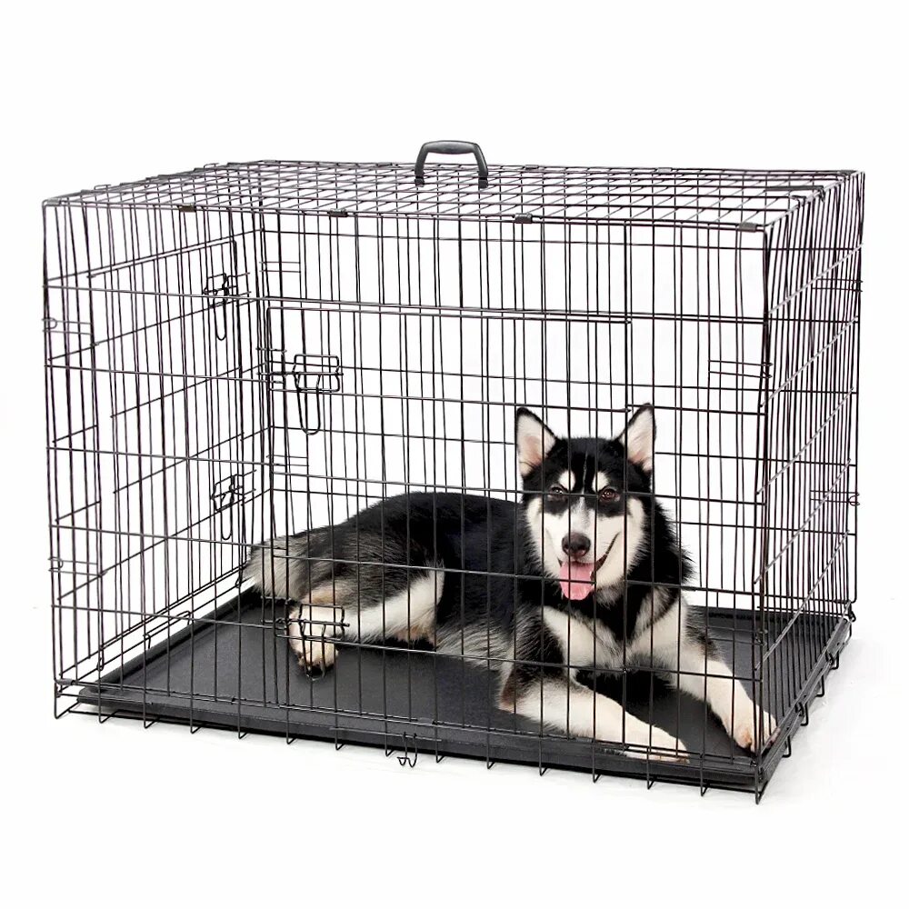Клетка для собаки в квартиру большая для лабрадора. Клетка dogland. Вольер для щенка джек рассел. Нужна ли собаке клетка. Нужна ли собаке клетка.