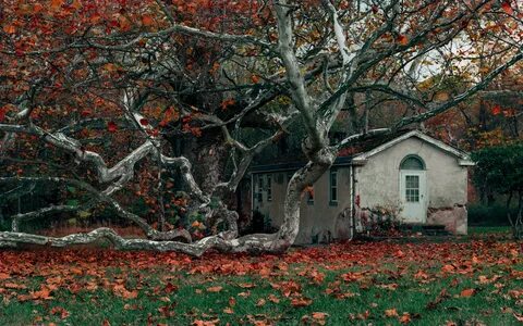 Left house