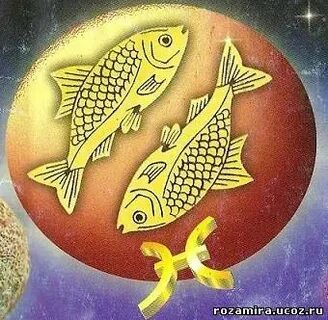 Рыбы декады
