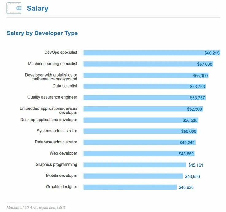 Developer type. Заработная плата full stack разработчика. Программист работает. Программист. Developer type.