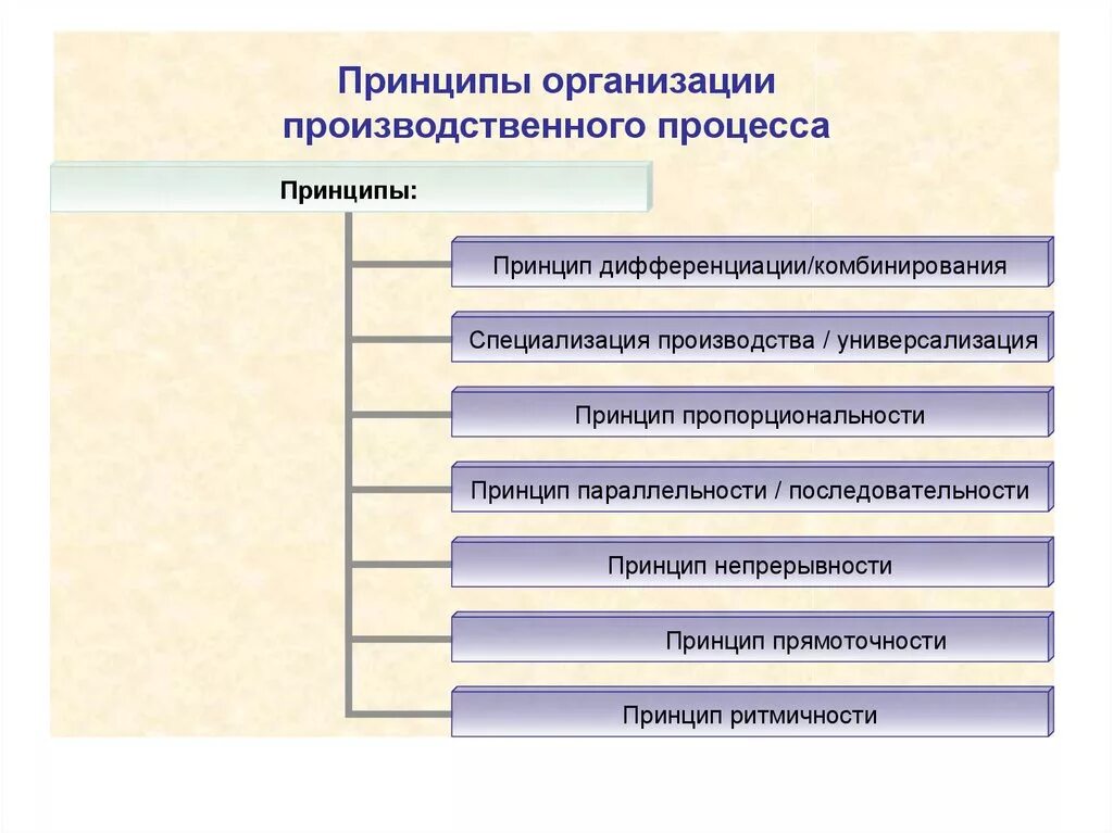 4 принципа производства. Каковы основные принципы организации производственного процесса. 1.3 Принципы организации производственного процесса. Перечислите принципы производственного процесса. Каковы Общие принципы организации производственного процесса.