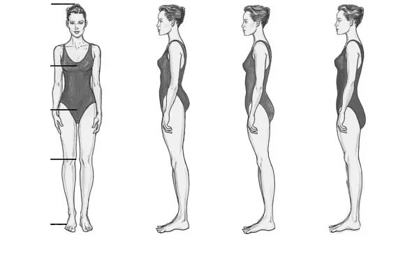 Model height. Женщина вид сбоку. Фигура женщины в профиль. Фигура женщины боком. Фигура девушки с боку.