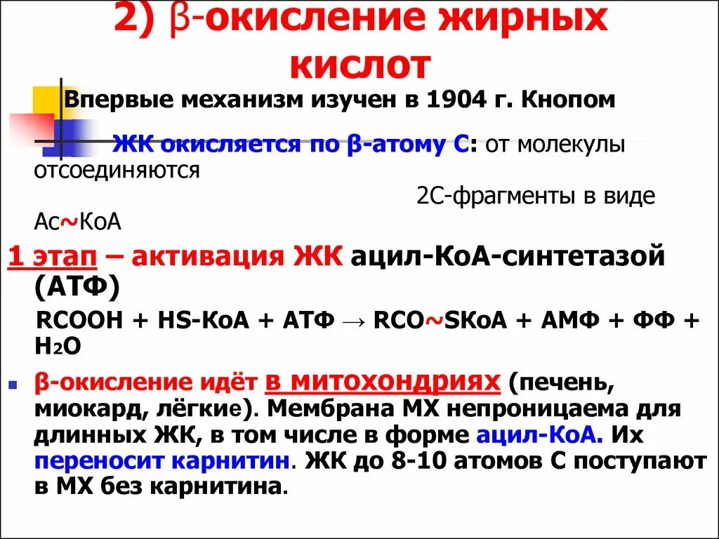 Окисление в биосинтезе. Ферменты бета окисления жирных кислот. Бета окисление жирных кислот 1 цикл. Конечный продукт бета окисления жирных кислот. Бета окисление жирных кислот биологический смысл.