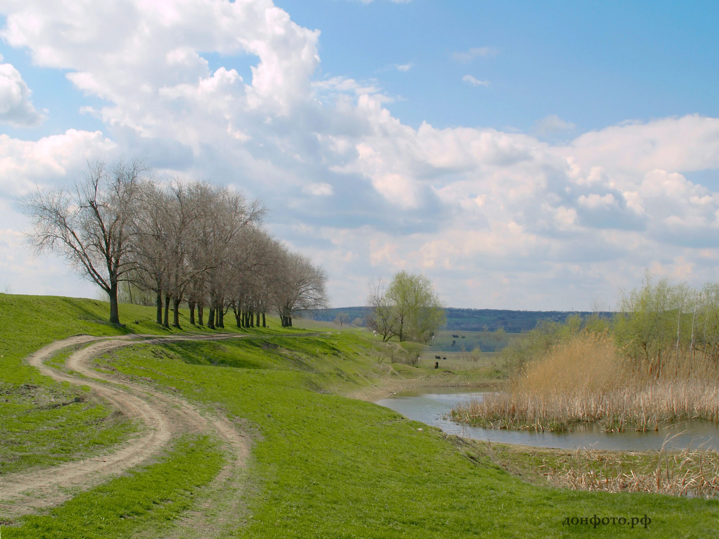 Хомутовская степь растения. Река миус неклиновский район. Весенний ростовская область. Финайкинская тюльпанная степь. Река миус.