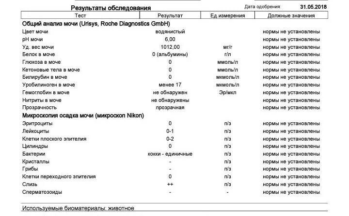 Анализ мочи что означает белок. Анализ мочи у котов норма. Белок в моче у кота норма. Анализ мочи кошки норма. Белок в моче нормы микроскопия мочи.