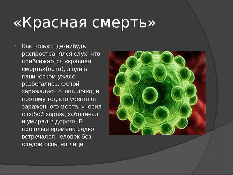 Сообщение о любом вирусе. Сообщение о любом вирусе