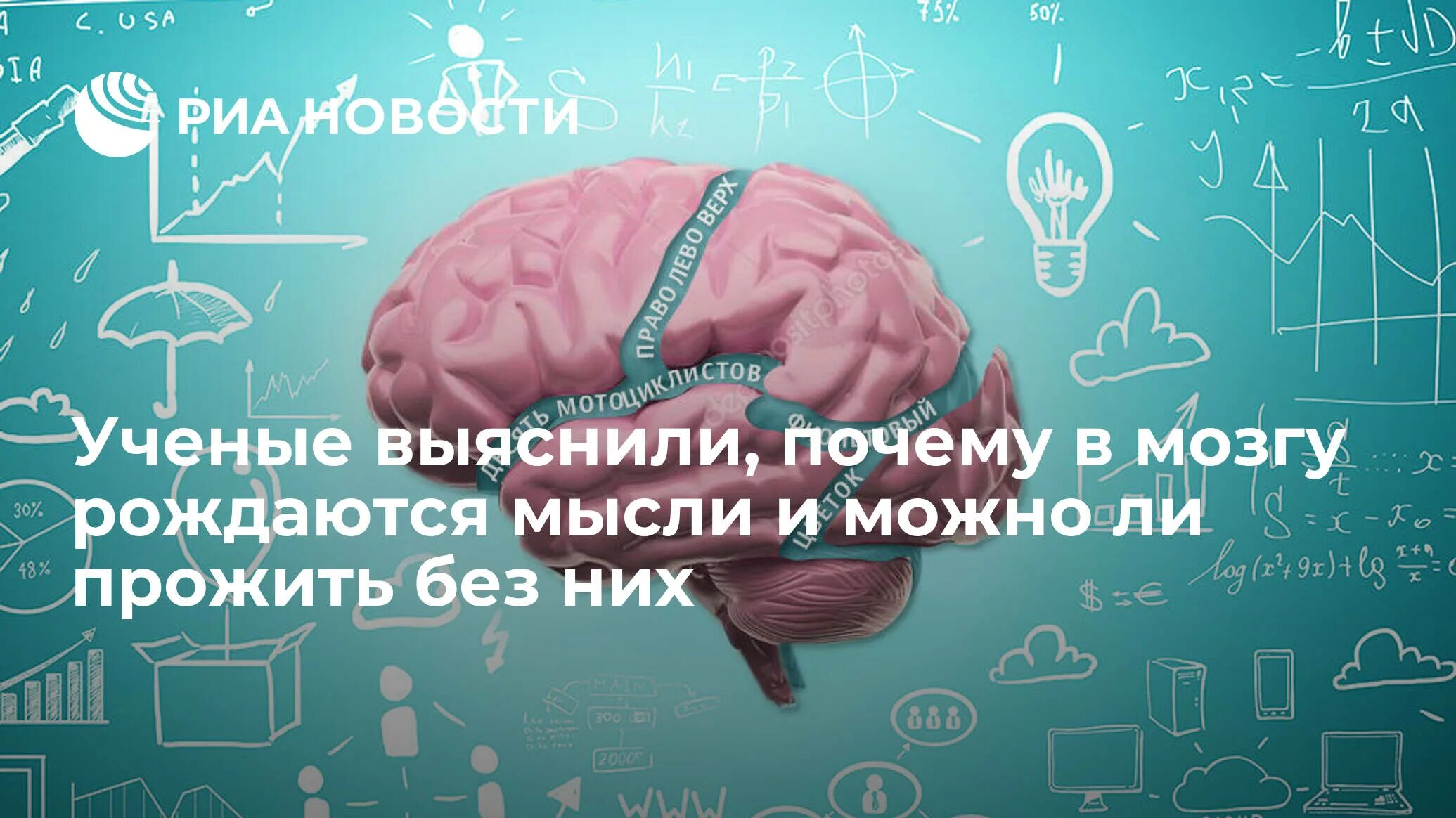 Как рождаются мысли. Рождение мысли в мозгу. мозг мышление. связь мозга и языка картинка. мысль рождается.